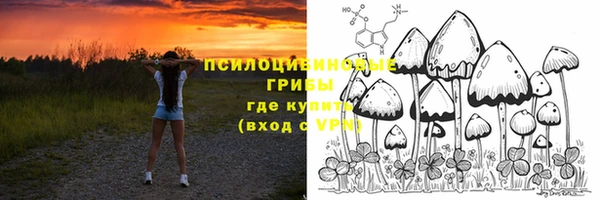 spice Бронницы